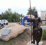 В Орловской области открыли памятник 1000-летию «Слива-града» - посёлка Кромы - Уездный город