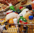 В Орловской области продуктовая корзина подешевела на 22 рубля - Уездный город