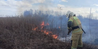 С начала года в Орловской области было зафиксировано более 360 случаев возгораний сухой растительности. Только за прошедшие выходные пожарные выезжали на ликвидацию возгораний травы и мусора 90 раз.   Лидерами по количеству палов травы являются Орловский - Уездный город