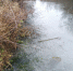 В реке, давшей название городу Ливны, течет белая вода. - Уездный город