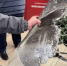 В Ливенский краеведческий музей бойцы СВО передали экспонаты - Уездный город