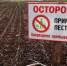 Россельхознадзор оштрафовал ливенских аграриев за незаконное использование пестицидов - Уездный город